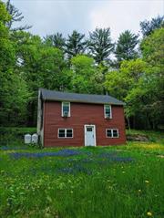 Set on 1.5 acres surrounded by wildflowers and mature trees, is your new light filled home! Completely renovated in 2020, conveniently located minutes to Blue Mountain, Saugerties shops and eateries, Opus 40 and much more, this could be a perfect weekend getaway or full time residence. Half circular driveway provides ample parking.The current owner has enhanced the outdoor feel with garden beds, a fire pit, and planted wildflowers all around completing the feel of a storybook country home!