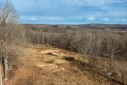 6 picture perfect acres nestled into the rolling hills that define this beautiful corner of the Catskills featuring an old stone wall, vast open meadows, woods to wander and seasonal mountain views. This incredible opportunity includes 6 acres, a current site/septic plan, and a choice of building plans provided by Debruce Lodge Builders. An ideal build site has already been determined and sits tucked into the gently sloping hillside for privacy. Once a grazing pasture and part of a much larger farm, this picturesque land is a great choice for the homestead you have been dreaming of. The current owner has done a ton of the groundwork to streamline the process between purchasing the property and having your own Catskills retreat to call home. Septic and proposed site plans, vendor contacts and quotes, and your choice of house plans are included with this offering. Each plan is for a charming home with an efficient footprint and everything you need for a country escape! This bucolic parcel is conveniently located 10 minutes from Main Street in Livingston Manor with its vast array of excellent dining, shopping and entertainment options - Threshold, The Walk In, Upstream, The Catskill Art Space, Homestedt and Seasons - to name a few! Great destination towns like Roscoe, Jeffersonville, and Callicoon are only 10-20 minutes away for even more things to do, see and eat. This area is famous for its fly fishing and vast array of ways to enjoy nature, and you are only 100 miles from the GWB. Offering does not include future permits, site work, building etc.