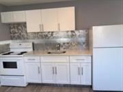 Newly Renovated Spacious Ground Floor 1 Bedroom Apartment. Living Room/Kitchen Combo.