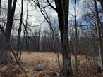 Beautiful 6+ acre lot on a quiet country road. Barn on property,  Engineering was done, will probably need to be updated. Mostly level & partially wood. Within minutes to Pine Bush & major highways.