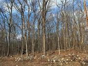 Nice lot located minutes to the village of Pine Bush. Seller believes there is a well on the property but not sure where. Priced to sell!