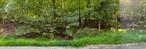 Enjoy Owning a Wooded Lot on a Peaceful Cul-de-Sac in a Charming, Established Community! Estate Sale â€“ Two Adjacent Lots (Total 2.90 Acres) 12 Laura Lane (1.80 acres) and 16 Laura Lane (1.10 acres) sold together. Zoned R2 in East Fishkill (2-acre minimum to build). Combined acreage meets current zoning requirements. Original owner, never developed. No approvals in place â€“ buyer to verify all info with the town.Please DO NOT walk the property â€“ DRIVE-BY ONLY.