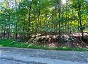 Enjoy Owning a Wooded Lot Situated on a Peaceful Cul-de-Sac within a Charming, Established Community! Drive-By Only Please do NOT walk on the Property!    Adjoining Lot is also Available!