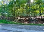 Enjoy Owning a Wooded Lot Situated on a Peaceful Cul-de-Sac within a Charming, Established Community! Drive-By Only Please do NOT walk on the Property!    Adjoining Lot is also Available!