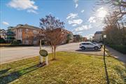 This stunning two bedroom, two bath condo offers luxurious living in the heart of Lynbrook. Featuring an large living room and L shaped dining room. The kitchen provides ample counter space and cabinet storage. This being a corner unit with large bright windows in every room, natural light floods the space, creating a warm and inviting atmosphere. The first bedroom has large closets with access to a private terrace. The spacious primary suite boasts a walk-in closet, and an beautifully full bath. There is a common full bath in the hallway as well. Additionally, the unit comes with convenient parking, one spot in garage and one spot in the lot. This unit overlooks the inground pool on its grounds. Building halls and lobby have been recently updated so is a pleasure to arrive. A must see!