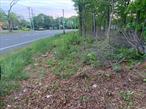 Land needs variance to build property. Road had paved with electric and water in street.