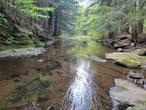 If you are looking for a private and serene location to build your forever home or your country getaway this one checks off many boxes. Located in a gated lake community in the Sullivan County Catskills only 1.5 hours from NYC, this gorgeous property features a stretch of the Little Beaverkill River running through it. Here you have the best of both worlds, a beautiful rushing trout stream and lake access! This lot also offers the ability to achieve a lovely ridgeline view. The Legends at Tanzman Lake is a gated lake community where privacy and nature are at the forefront. This site has frontage on Eagles Ridge Way and Cooley Road. Located in Parksville, it is only moments to Rt 17, but seems like worlds away from it all. A 5-minute drive lands you in downtown Livingston Manor with shopping, dining, breweries, etc. Near to state parks, and a short drive to Bethel Woods for world class entertainment, Resorts World Casino and the exclusive Monticello Motor Club. Check it out! Motivated Seller!