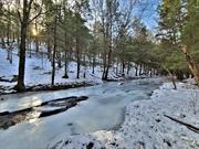 If you are looking for a private and serene location to build your forever home or your country getaway this one checks off many boxes. Located in a gated lake community in the Sullivan County Catskills only 1.5 hours from NYC, this gorgeous property features a stretch of the Little Beaverkill River running through it. Here you have the best of both worlds, a beautiful rushing trout stream and lake access! This lot also offers the ability to achieve a lovely ridgeline view. The Legends at Tanzman Lake is a gated lake community where privacy and nature are at the forefront. This site has frontage on Eagles Ridge Way and Cooley Road. Located in Parksville, it is only moments to Rt 17, but seems like worlds away from it all. A 5-minute drive lands you in downtown Livingston Manor with shopping, dining, breweries, etc. Near to state parks, and a short drive to Bethel Woods for world class entertainment, Resorts World Casino and the exclusive Monticello Motor Club. Check it out! Motivated Seller!