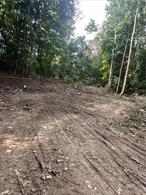 Section 19-5.10(5)(a) states that in no case shall the total number of dwelling units to be approved by the Planning Board exceed the number permitted by the existing zoning of the site: the property is 1.3 acres, or 56628 square feet. According to Section 19-2.3(2)(a), four-unit buildings require 6, 000 square feet of lot area. Therefore in theory a cluster developments with 9 four-unit building (a total of 36 units) would be permitted. This development is only on the City side in this price you get .40 acres in the Town of Poughkeepsie that adjoins this parcel.