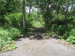 Build your dream home in Pawling with this Board of Health approved location, blending the charm of an established neighborhood while providing a blank building canvas. This 1.4 acre lot is approved for up to 4 bedrooms and offers potential peek-a-boo mountain views and colorful sunsets. The partially wooded lot provides natural privacy with mature landscaping from day one. The driveway has been partially installed for easy access. Plenty of space for a big back yard, pool, garden, chicken coop or more. Just minutes from Pawling Village amenities, restaurants, Metro North, shops and more â€“ the perfect location for your forever home. Builders â€“ donâ€™t miss out on this great spring project site.