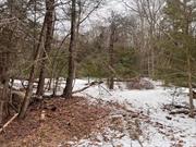 If you enjoy privacy and nature these lots are for you. Raw land with road frontage fully available with two parcels, 35.-1-2.1 & 35.-1-2.2. This large lot boost many potential opportunities. Close to Resort Worlds, Bethel Woods, Route 17, Crystal Run, Legoland.