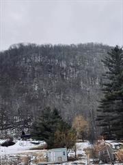 LOCATION LOCATION How does one put a price on waking up in the morning to the sounds of the birds singing instead of an alarm clock. Watching a mother deer walk across your lawn with her two newly born to start there day with a drink out of your pond, or take that morning walk along the Woodland Valley fly fishing trout stream.that is 50 feet across the street from you mail box. There is something about hearing the stream that all your stress is no where to be found. The property is surrounded by hundreds of Acres of state land. The Esopus Trout stream the larger of the two is ten minutes away.so one has two world class Trout Streams to fish in their area.This property will come alive in the spring.with beautiful perennial gardens.8 foot deep pond fully equipped with fountains and aeration to keep it algae free. Woodstock with all its shops is 20 minutes as well as Kingston. Up the road 15 minutes on Rt. 28 is Belleayre Ski Resort. Gondola Rides Free Summer Music Night Lake Beach Party Bash car shows Hiking the Mountains Biking, Fall Festival . Come up for a week end, stay a life time. we were going to wait till spring to see all the captivating beauty of the gardens. the solitude and quiet winter has its own silent beauty. Motivated Seller. Selling as is. All Reasonable offers will be considered.