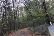 Nicely wooded parcel just outside of the charming hamlet of Eldred with easy access to the Delaware River and with deeded access to Bodine Lake just down the road. Great location between Eldred and Yulan. Additional Information: Soil Type: Unknown,