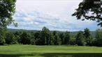 Desirable 19+ acres! Are you looking for that perfect property to build your dream home? Look no further! This property has it all! Drive up the well established shale driveway that leads to the top of this wonderful property with it&rsquo;s open vista looking out at the bucolic countryside. This land boasts level to gently sloping open fields, a spring fed pond, stone walls, some underground electric and a cute cabin/shed. Come home to the peace and tranquility of country living. Located just outside of Callicoon and Jeffersonville. Don&rsquo;t miss out on this hard to find property. Schedule your private showing today.