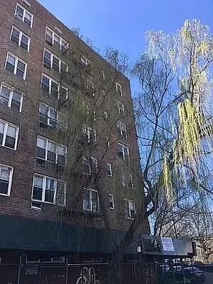 Property Picture