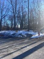Owner is in process of clearing up tax issue while fully able to sell the property as it sits currently. Owner looking to sell quickly and fairly, he has plans for up to 14 buildable lots on this property. 31.21 acres of land that runs from Titusville Road to the cup de sac on Stonehedge Drive.