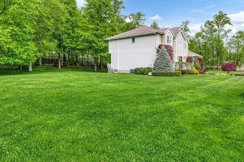 Yard