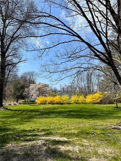 Yard