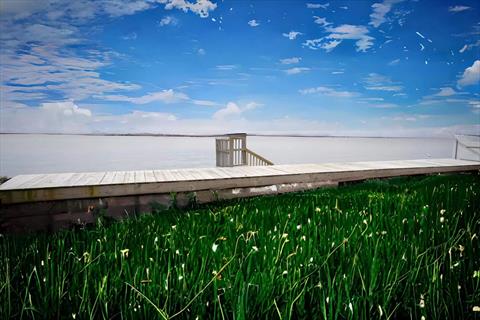 Dock