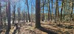 This split waterfront property in the private lake development in the countryside features 10.27 wooded acres with a building site, well site, and engineering completed, offering just under 100 feet of waterfront on the serene and scenic Forestburgh Pond. The property consists of a combination of mature woods and the meadow. A short stroll down the hill leads to the water&rsquo;s edge, where you can enjoy an area for a dock. The setting is absolutely stunning with an Adirondack feel, less than 2 hours from NYC. Build your dream home here and embrace a wonderful getaway in this wooded retreat in the small development. Forestburgh hamlet has its idyllic charm with quaint general store and the renowned Forestburgh Playhouse are close by, adding to the allure of this picturesque location. Short drive to the Motor club, Resorts World casino Kartrite water park and 30 min to Port Jervis with the access to the Metro North train.