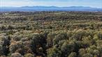 Seize a rare opportunity to own 158 acres of pristine, subdividable land in the heart of the Taconic Range, perfectly positioned between the coveted destinations of Rhinebeck and Hudson. Available for the first time in generations, this exceptional property consists of two adjoining parcelsâ€”one in Taghkanic with access off Sopok Road, and the other in Gallatin with access from Benton Road.Brimming with natural beauty and endless potential, the land features rolling hills, majestic hardwood forests, charming stone walls, tranquil ponds, babbling streams, and striking rock outcroppings. Three hilltops and multiple lookout points offer beautiful views of the mountains, including the Catskills and the Berkshires, just north of the Dutchess/Columbia border.A well-maintained perimeter trail invites hiking and leisurely walks through this nature loverâ€™s paradise. Electric service is readily available at the main entrance off Benton Road, with an easy curb cut for convenient access. This secluded haven is perfect for building a private residence, multiple homes, or an investment project.Located just 10 minutes from the Taconic State Parkway and the picturesque villages of Red Hook and Rhinebeck, the property also offers quick access to the Berkshires and is less than two hours from New York City.Donâ€™t miss out on this unparalleled opportunity to invest in a truly unique and breathtaking setting. Schedule your private tour today and unlock the countless possibilities that await. &#160;VIRTUAL TOUR in link below where applicable: