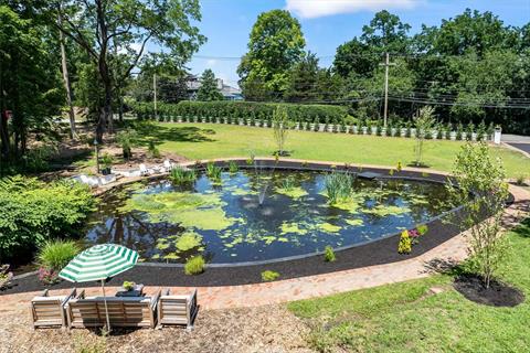 Pond