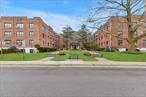 Sunny and bright studio with good closet space, hardwood floors, newly painted bathroom, cherrywood cabinets, granite countertops, Great Neck South school district, close to LIRR, LIE, buses, dining, schools and more! Common basement with laundry.