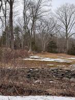 Mixed use commercial/Residential .39 acre, electric and well on site no septic.