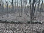 At the end of the road, surrounded by other large parcels, quiet and privacy await on 38 wooded acres full of wildlife, mature hardwoods, and rolling hills. Comprised of two parcels with ample road frontage on a cul-de-sac, the location is a commuterâ€™s dream, just off Route 44 and only a couple miles from the Taconic. The property offers many possibilities: a place to build your quiet retreat or family estate; an investment and deer hunting property, with timber harvest possibilities; or utilize the 5-acre zoning and subdivision plans drawn up by the prior owner to divide it into four or five lots. Once you walk the property, though, youâ€™ll definitely want to keep one lot for yourself. Owned by the same family for 45 years, opportunities to purchase pristine acreage in such a desirable location donâ€™t come along often, so donâ€™t let this one pass you by.
