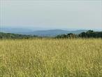Nestled near the charming towns of Jeffersonville, Livingston Manor, Callicoon, and the Delaware National River Basin in western Sullivan County, this stunning 88-acre property in Shandelee offers a unique blend of natural beauty and potential â€” all for an amazing price of just $799, 000!The land features 10.8 acres of open meadow with breathtaking southeastern views, ideal for building your dream home or retreat. The surrounding forest is a nature loverâ€™s paradise, filled with meandering trails, prime timber, and majestic maple trees. Striking rock formations add character and provide shelter for the abundant wildlife.With plenty of natural springs, thereâ€™s excellent potential to create a serene pond. The property also offers the possibility of subdivision, making it a versatile investment opportunity.Perfect for those seeking tranquility, adventure, or development potential, this property is a rare find in a highly desirable area.