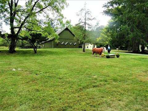 Yard