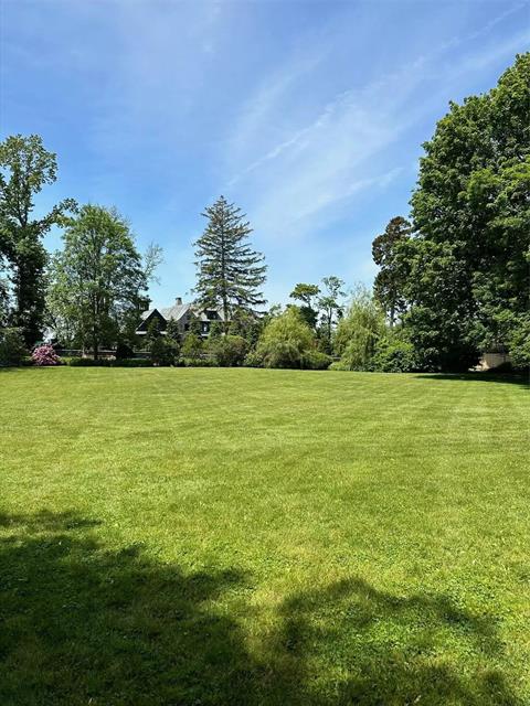 Yard