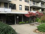 NO BOARD APPROVAL. 20% DOWN PAYMENT REQUIRED. SALE MAY BE SUBJECT TO TERMS & CONDITIONS OF AN OFFERING PLAN. BUYER PAYSTRANSFER TAX. NEWLY RENOVATED KITCHEN FEATURING STONE COUNTERS, STAINLESS STEEL APPLIANCES AND RENOVATED BATHROOM. $15.55 Assessment monthly; $126.94 Assessment monthly