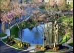 BEAUTIFUL 1 BED/1 BATH CONDO, NEW BATH, NEW FLOORING THROUGHOUT. BEAUTIFUL VIEWS , CITY AND BRIDGES