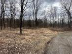 THIS BEAUTIFUL PROPERTY IN PLEASANT VALLEY NEW YORK OFFERS THE PERFECT OPPORTUNITY TO OWN NEAR THE SCENIC HUDSON RIVER VALLEY. LOCATED CLOSE TO POUGHKEEPSIE, THIS LAND PROVIDES EASY ACCESS TO OUTDOOR ACTIVITIES. A CHARMING COMMUNITY WITH A RICH HISTORY AND FRIENDLY ATMOSPHERE OFFERING A SERENE LIFESTYLE WHILE BEING APPROXIMATELY 2 HOUR DRIVE TO NEW YORK CITY.
