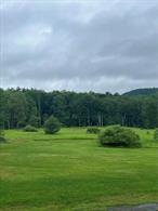 Beautiful 25+ Acre parcel for sale in the town of Neversink! This parcel is a blank canvas that will make for an excellent location to build your dream home. The parcel touches State Route 42 and Little Hollow road. The part of the property that touches St Rt 42 has the option for municipal sewer hook up. Little Hollow is a very quiet country road that is maintained by the town of Neversink. Tri-Valley School district, low taxes, mountain views, this parcel will not last long. Close to local attractions such as Frost Valley YMCA, Kartrite Water Park, Resort Worlds Casino, Several golf courses, and 1000&rsquo;s of acres open to public hiking, hunting and fishing.