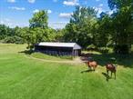 Prime location! This stunning 7.4-acre meadow, with minimal trees, is situated in the heart of Goshen, just a stone&rsquo;s throw away from Chester. For the past six decades, this property has been utilized for hay cultivation and livestock grazing, and is fully enclosed by fencing. The property presents unique agriculture and other possibilities in the RU Land Use District.Surrounding the area are two farms, one of which operates as a farm-to-table establishment. A pond, approximately 60 feet wide, can be found near the picturesque Craigville Road. The location is in close proximity to schools, parks, pickleball courts, and is just a short drive from Legoland. Additionally, it offers easy access to all major transportation routes, including NY Route 17, I-87/287, and I-84. Commuters will appreciate the convenience of being near Campbell Hall and Harriman train stations. Don&rsquo;t miss out on this incredible opportunity to create your own oasis in this idyllic setting. Additional details: Soil Type - Unknown.