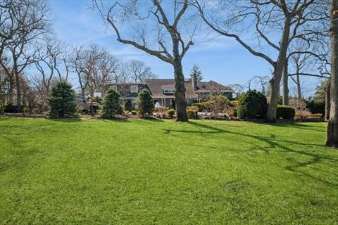 Yard