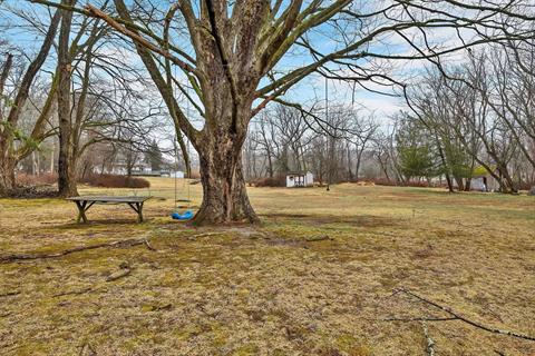 Yard