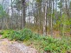 New Land Listing with Lake Rights to Yankee Lake! Beautiful natural level land, perfect to dream big and plan your country home with deeded lake rights to Yankee Lake!! Located on charming Pine Kill Road only a short distance to the Yankee Lake access point in Wurtsboro NY. This lovely property is nearly 8 acres of hardwood and pine trees with rhododendron and mountain laurel sprinkled throughout. In the heart of Sullivan County yet minutes to Route 17 for commuting, farmers markets, hiking trails, Sullivan County Resorts World Catskills and so much more. If you&rsquo;re thinking about country living at it&rsquo;s best then this is the land that dreams are made of ! Enjoy the sites and sound of nature, kayaking, canoeing and fishing on this pristine mountain lake only minutes from your property Love where you live and plan your new weekend getaway or year round retreat. Only 2 hours NYC.