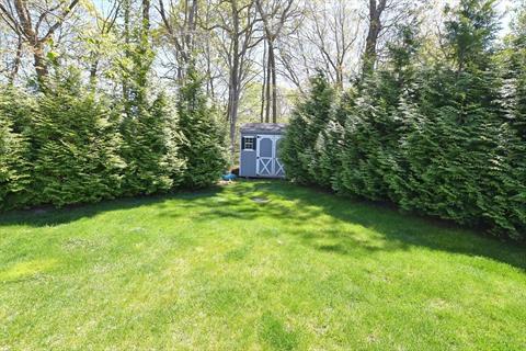 Yard