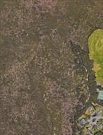 Calling All InvestorsVacant Residential Lots For Sale - The Combined Size Of All Three Lots Is 3.63 Acres And Is Being Sold As Is. Section 308000, Block 0002, Lot 019000--Section 308000, Block 0002, Lot 003000--Section 308000, Block 0002, Lot 001000. Lots Can Either Be Sold Separately or Combined. This Property Is LANDLOCKED And There Is No Direct Access To It. It Is Purchaser&rsquo;s Own Responsibility To Do Own Due Diligence With The Town Of Southampton In Regards To The Development Potential Of This Property. Combined Current Taxes For ALL THREE Lots is $196.32