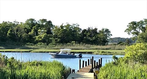 Dock