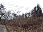 Fantastic opportunity to build your dream home on the spacious on this 4.526 acre lot. Enjoy peace and privacy with a driveway. Don&rsquo;t miss your chance to create your ideal living space in this desirable location.