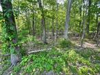 Over 10 acres of prime land on PUBLIC SEWER & PUBLIC WATER. **ACCESS IS OFF GLENNA DRIVE in the HAMLET OF CARMEL.** Beautiful setting. Private and peaceful to say the least. Cul-de-sac at the end of Glenna Drive. Great location, close to town. Fair Street is about to be newly paved/ widened with new side walks and streetscape lighting. Even easier way to walk to town! Final town approval needed for a home to be built on this site.