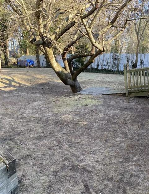 Yard