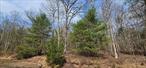 Lovely 7.6+/- acres with lake rights to York Lake! Don&rsquo;t miss out on this beautiful, mostly level property that is lightly wooded. This property is part of York Lake Estates and has water rights to York Lake with a nice beach and also a nice lot to access the Delaware River that is just a short drive. A great place to build your dream home. Set on a quiet paved country road. Call today for your private tour.
