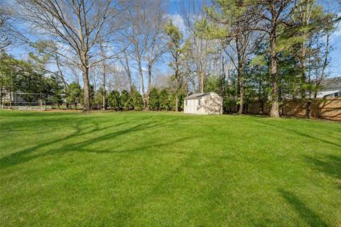 Yard