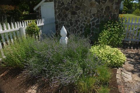 Yard