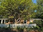 Look no further, you&rsquo;ve found your forever home! Step onto this property in historic Hyde Park and prepare to be wowed. Built in 1850, this beautifully maintained single family farmhouse offers modern amenities, with many original details all in excellent condition. The charm here is palpable. Enjoy the light filled space of over 2000 square feet, with 3 BRs and 3 baths, all updated! The heart of the home is the beautiful kitchen with stainless appliances and farmhouse sink, solid surface countertops, original flooring and wood ceilings. In the Living Room, you&rsquo;ll find floor to ceiling windows, capturing the idyllic backyard with mature trees and perennial gardens, overlooking the magic of the babbling Crum Elbow Creek. Upstairs, find the 3 spacious bedrooms and updated baths. Mill Road Extension, a no outlet street in the heart of Hyde Park, affords quick access to all that Hyde Park and the majestic Hudson Valley has to offer. Take in miles of hiking and biking trails, award winning dining at the Culinary institute of America, the magnificent Hudson River and so much more.